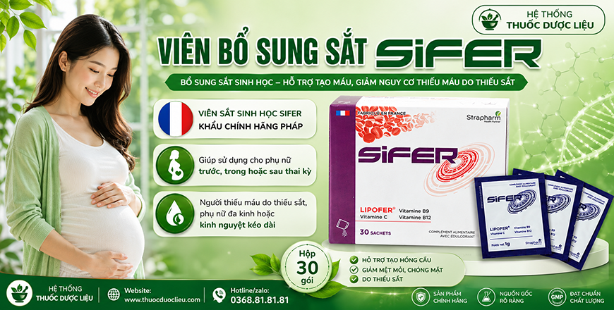 Viên sắt sinh học giúp bổ sung sắt giảm nguy cơ thiếu máu cho phụ nữ mang thai và cho con bú