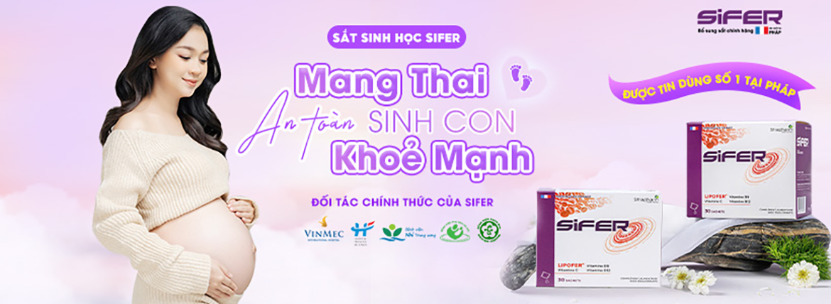 Sắt Sifer Lipofer Nhập Khẩu Nguyên Hộp Từ Pháp
